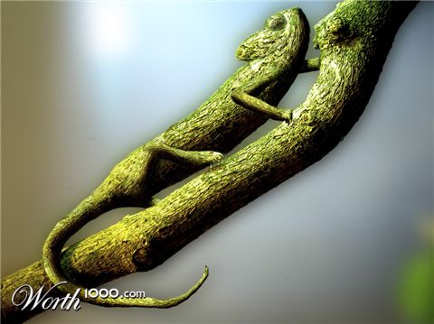 Photoshop Design by MasterGnu