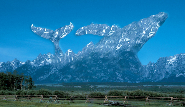 Design Photoshop par samfisher pour DesignCrowd (Community Contests) | Design #9052847