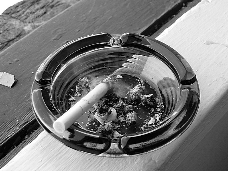 Photography by texascliff69 for DesignCrowd (Community Contests) | Design #9061613