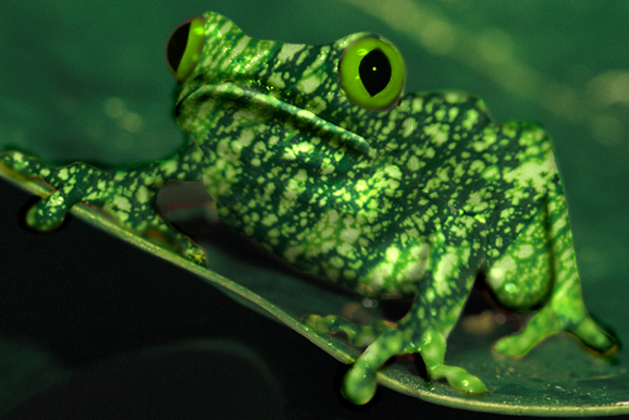 Photoshop Design by samfisher for DesignCrowd (Community Contests) | Design #9042249