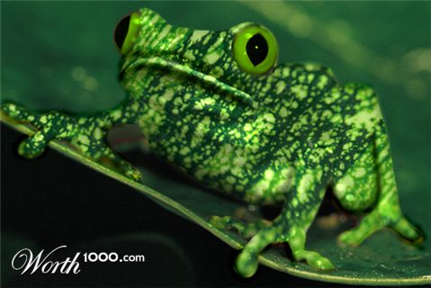 Photoshop Design by samfisher