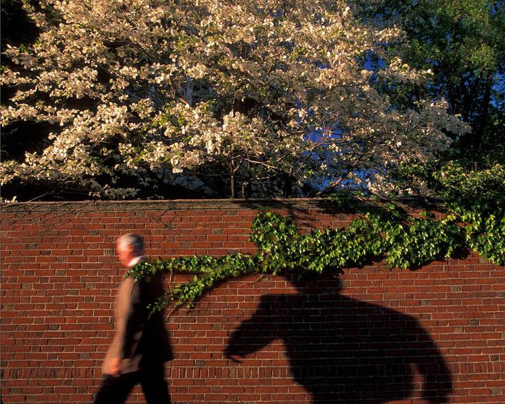 Photoshop Design by sugarcane for DesignCrowd (Community Contests) | Design #9052921