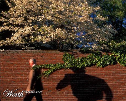 Photoshop Design by sugarcane