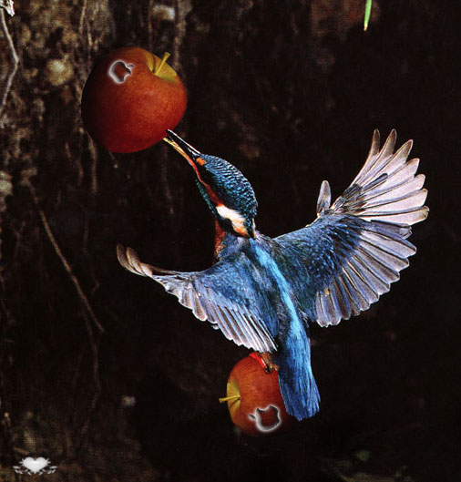 Diseño de Photoshop por lenneheartbreaker para DesignCrowd (Community Contests) | Diseño #9042310