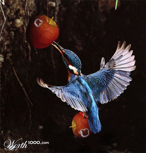 Photoshop Design by lenneheartbreaker