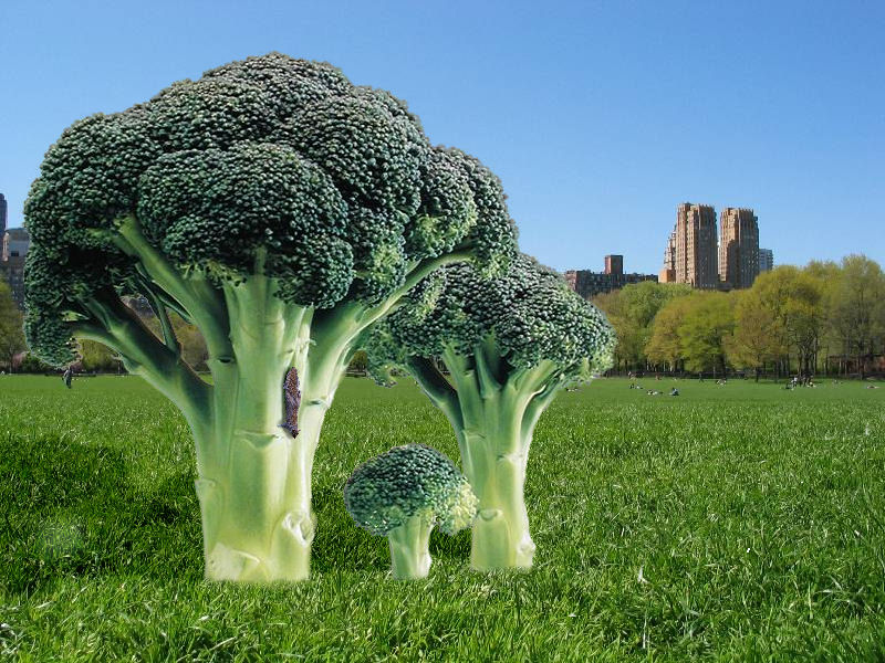 Photoshop Design by Irrwitzer for DesignCrowd (Community Contests) | Design #9042330