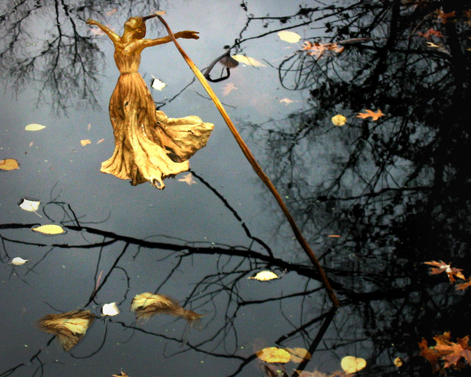 Diseño de Photoshop por pepplewick para DesignCrowd (Community Contests) | Diseño #9052962