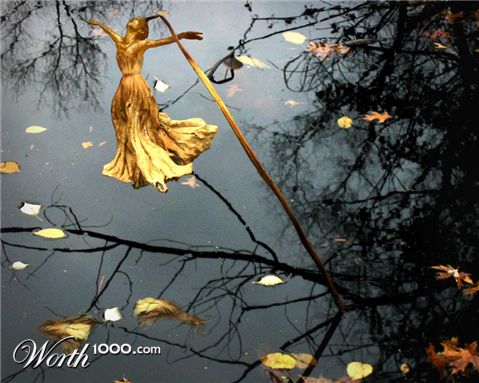 Photoshop Design by pepplewick