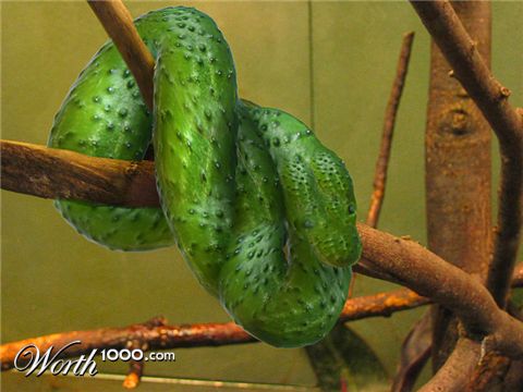 Photoshop design by CORYMARTIN for DesignCrowd (Community Contests)