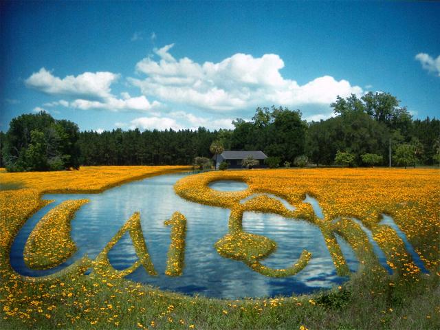 Photoshop Design by lazerblade for DesignCrowd (Community Contests) | Design #9052901