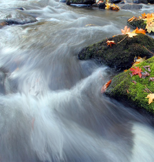 Diseño de Photoshop por Zalgren para DesignCrowd (Community Contests) | Diseño #9052896