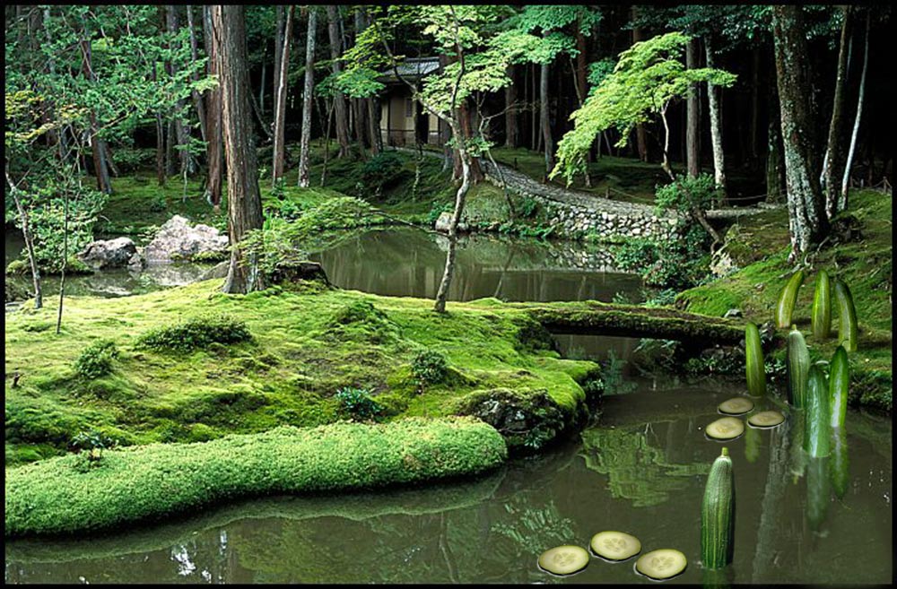 Photoshop Design by DutchPuh for DesignCrowd (Community Contests) | Design #9042497