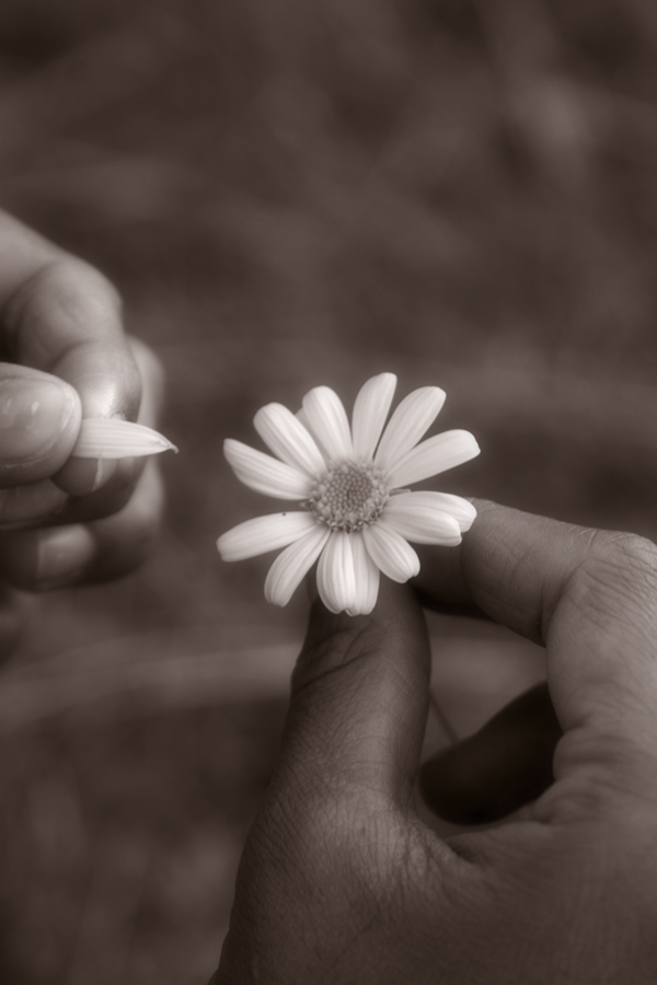 Fotografía por flash7 para DesignCrowd (Community Contests) | Diseño #9072871