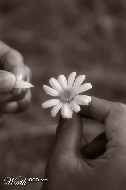 Photography by flash7