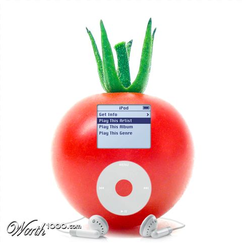 Photoshop Design by TrendyWendy