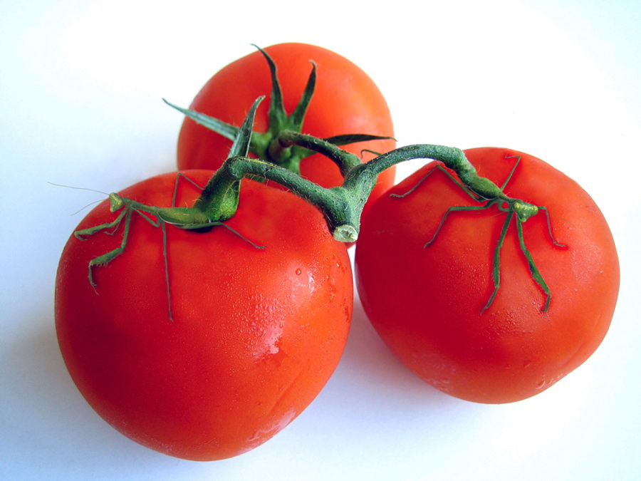 Design Photoshop par scorpio777 pour DesignCrowd (Community Contests) | Design #9042371