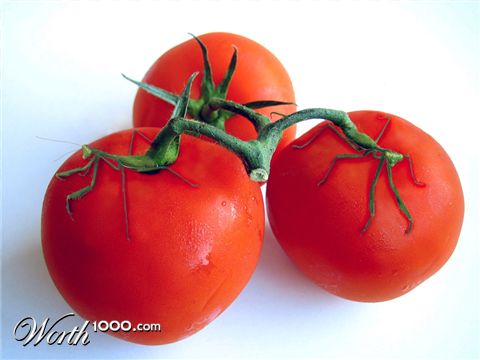 Photoshop Design by scorpio777