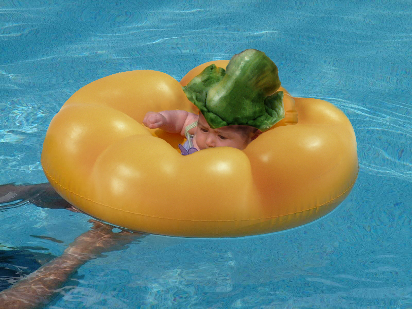 Photoshop Design by ellall for DesignCrowd (Community Contests) | Design #9042445