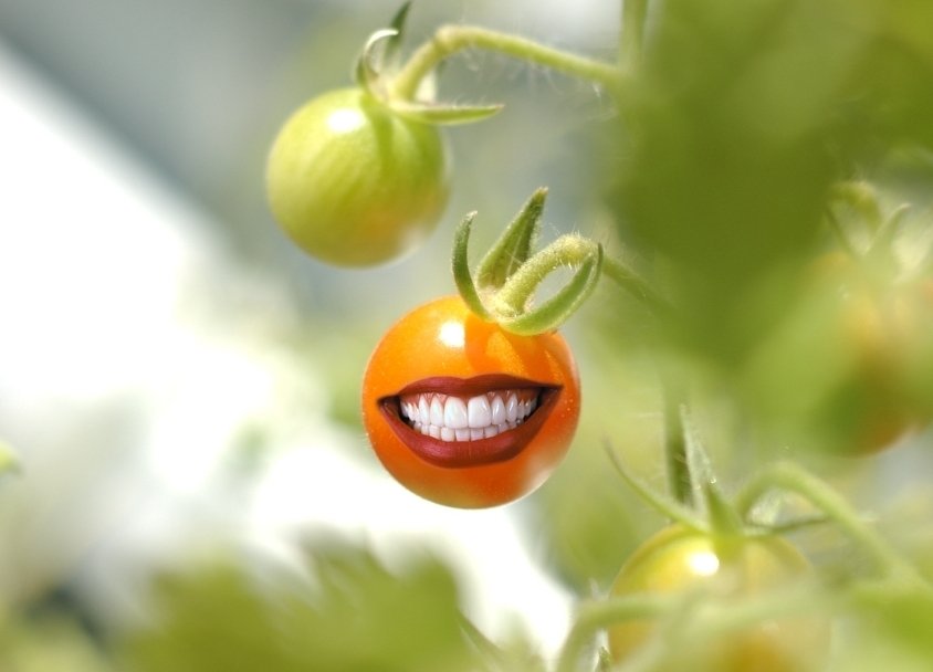 Diseño de Photoshop por schrimp para DesignCrowd (Community Contests) | Diseño #9042484