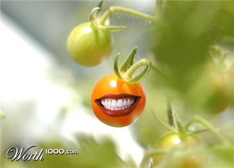 Photoshop Design by schrimp