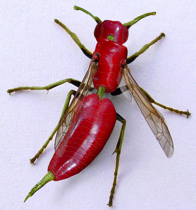 Photoshop Design by bertdesign for DesignCrowd (Community Contests) | Design #9042402