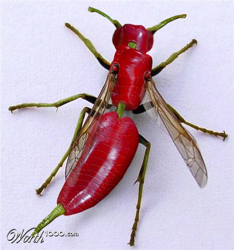 Photoshop Design by bertdesign