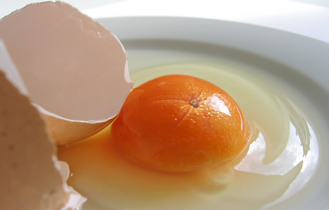 Photoshop Design by Dylkan for DesignCrowd (Community Contests) | Design #9042460