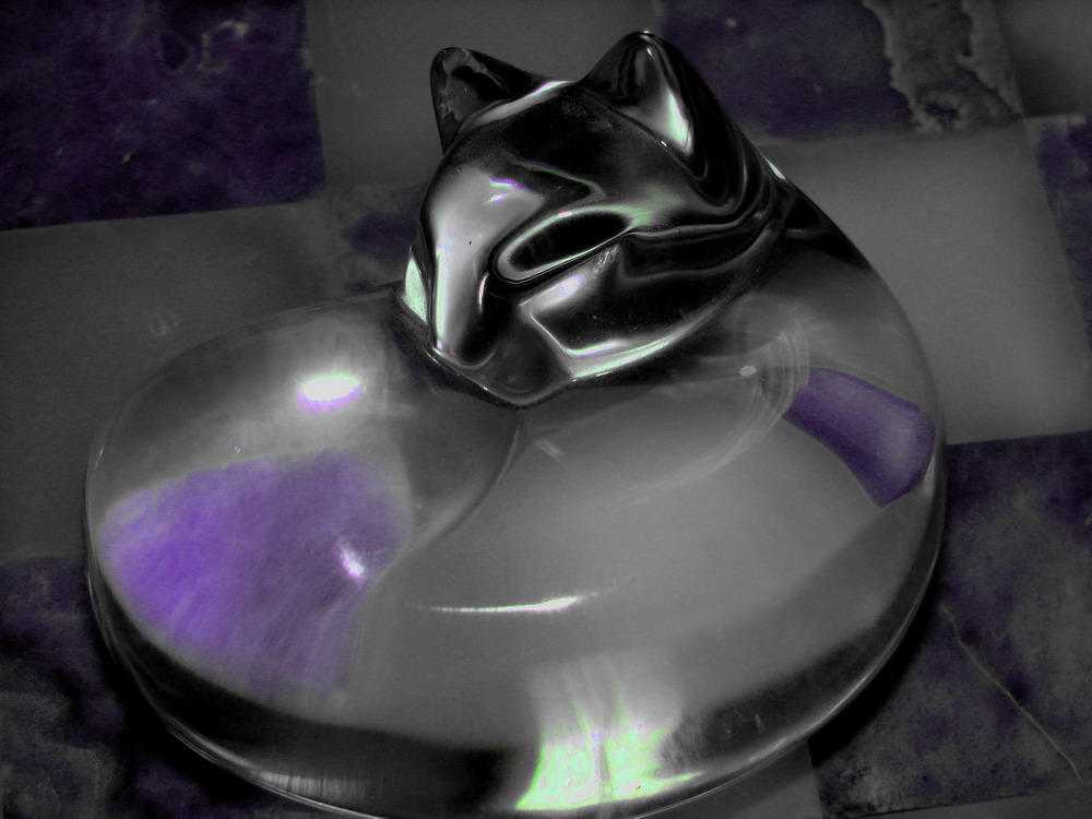 Photography by robinsphotos for DesignCrowd (Community Contests) | Design #9043773