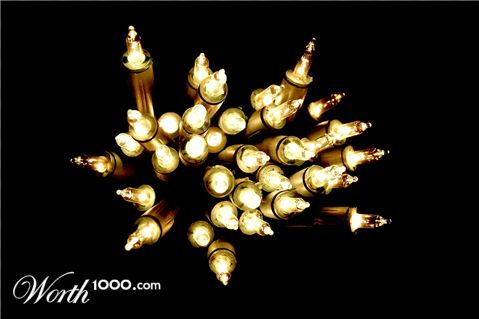 Photography by bvanderhofstede