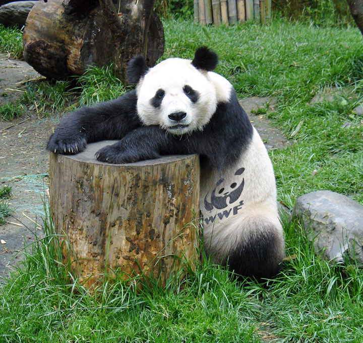 Design Photoshop par matster pour DesignCrowd (Community Contests) | Design #9052550