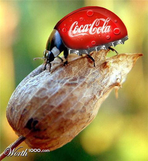 Photoshop Design by hemantsharma