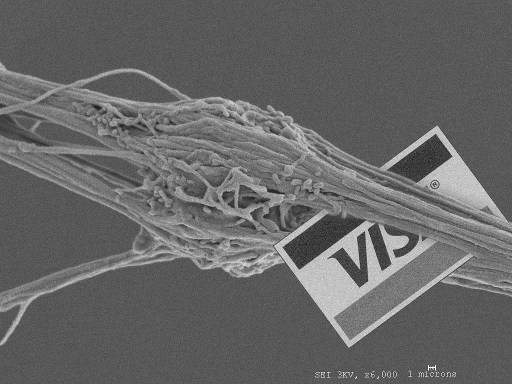 Photoshop Design by vacanebuna for DesignCrowd (Community Contests) | Design #9052742