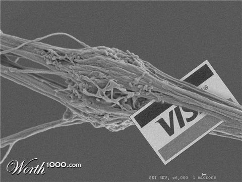 Photoshop Design by vacanebuna