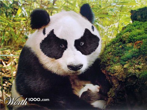 Photoshop Design by maninthecold
