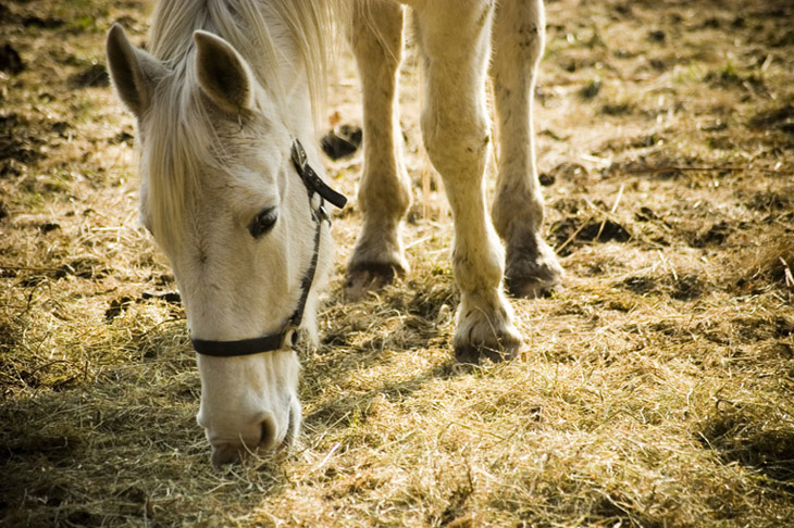 Photographie par vintagedept pour DesignCrowd (Community Contests) | Design #9054276