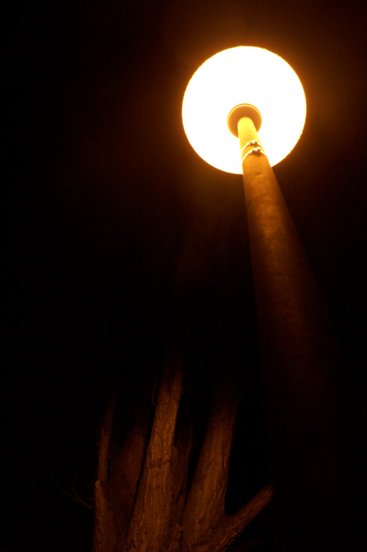 Photography by markusuetz for DesignCrowd (Community Contests) | Design #9054966