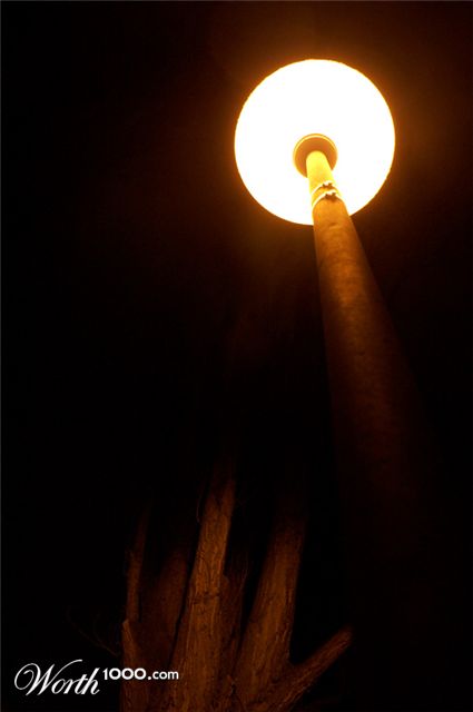 Photography by markusuetz