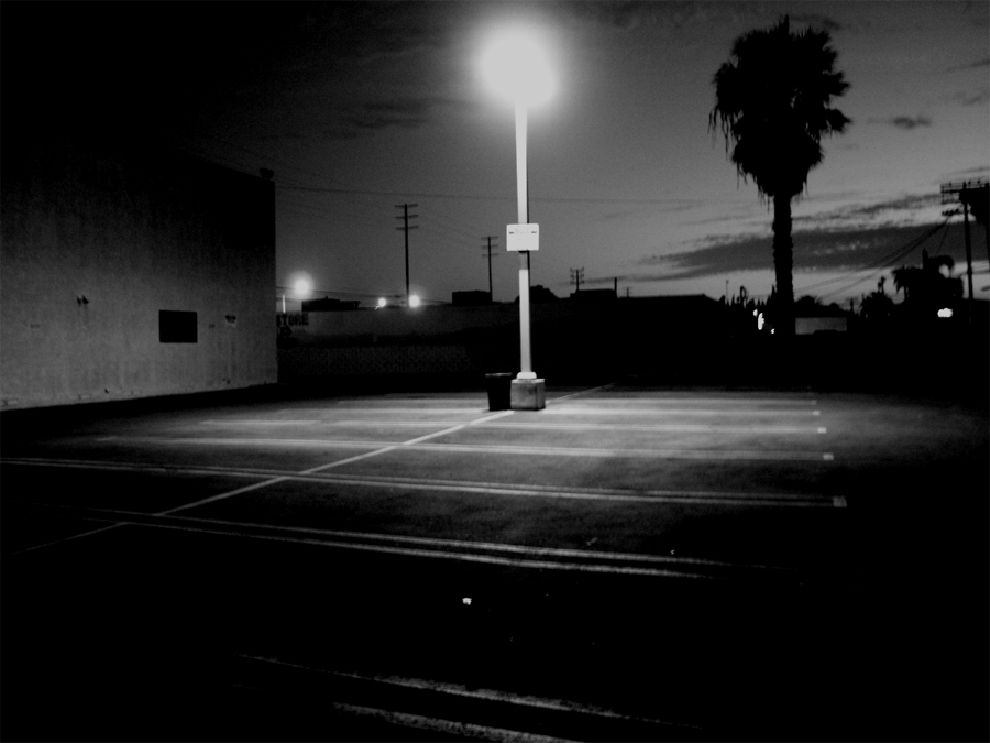 Photography by bloodycactus for DesignCrowd (Community Contests) | Design #9054979