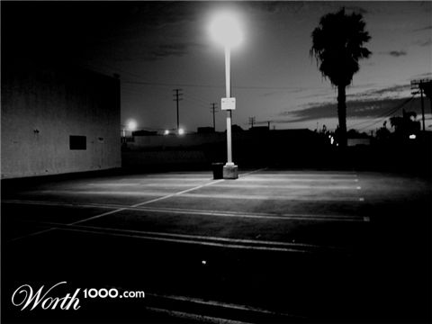 Photography by bloodycactus