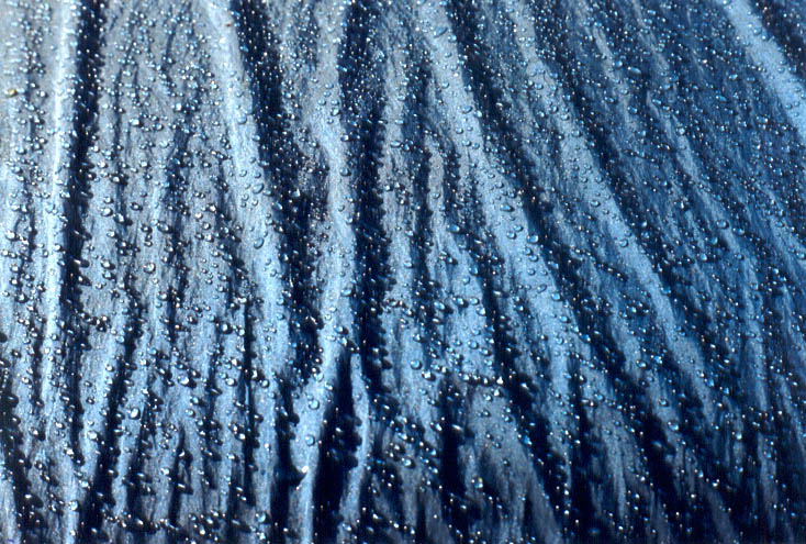 Fotografie von anzaar786 für DesignCrowd (Community Contests) | Design #9054331