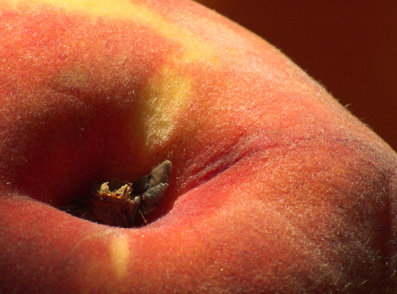 Fotografie von kimbomac für DesignCrowd (Community Contests) | Design #9054314