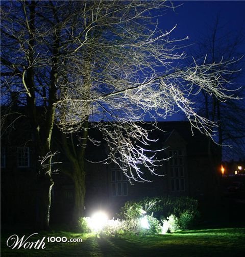 Photography by DurhamTyke