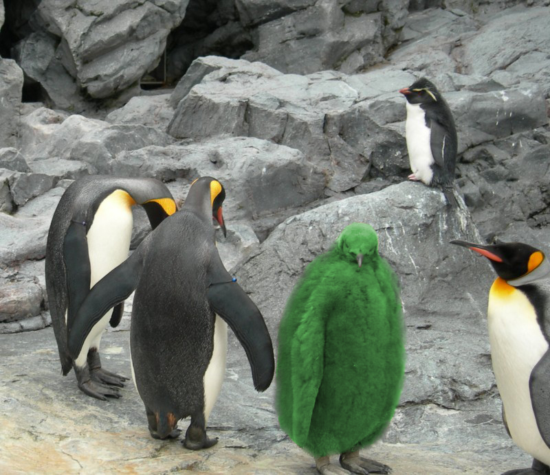 Photoshop Design by MataleoneRJ for DesignCrowd (Community Contests) | Design #9053526