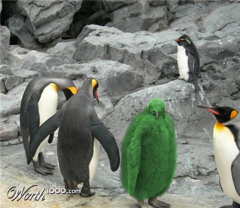 Photoshop Design by MataleoneRJ