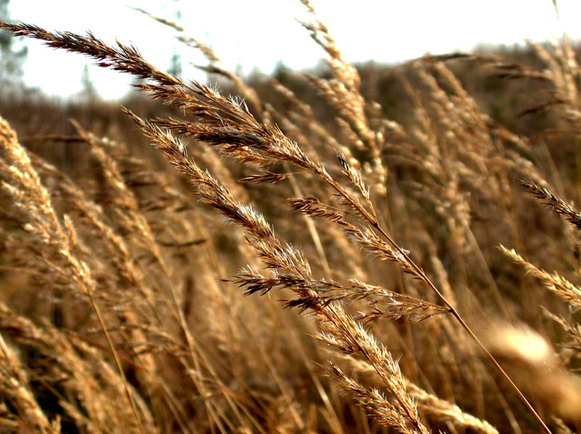 Photographie par Reconban pour DesignCrowd (Community Contests) | Design #9054311