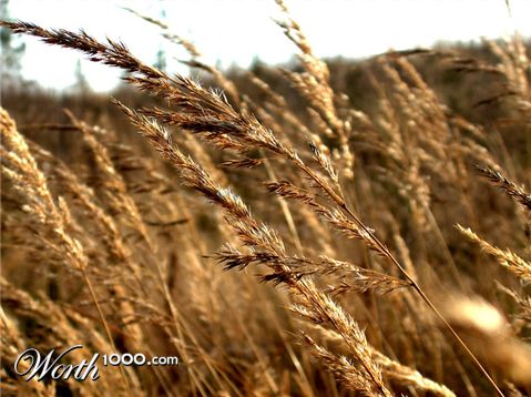 Photography by Reconban