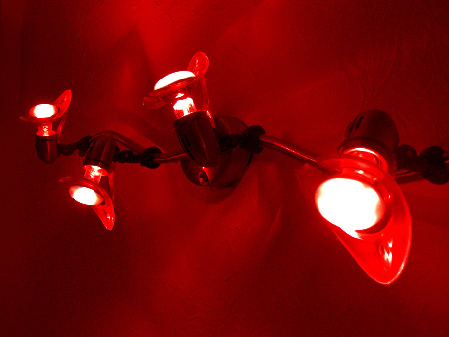 Photography by cooganj for DesignCrowd (Community Contests) | Design #9055030