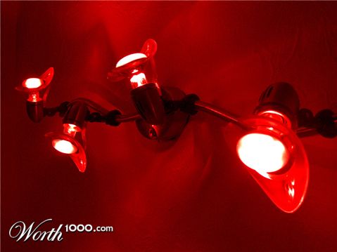 Photography by cooganj