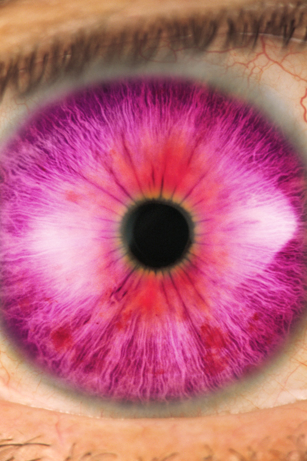 Design Photoshop par samfisher pour DesignCrowd (Community Contests) | Design #9053620