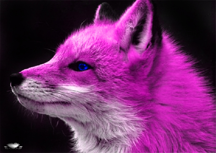 Photoshop Design by lenneheartbreaker for DesignCrowd (Community Contests) | Design #9053582